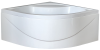 Душевой поддон акриловый Royal Bath BK RB100BK 100х100 белый с ножками