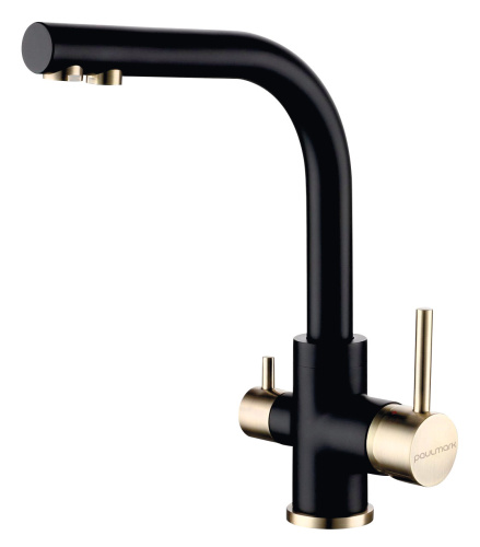 Смеситель для кухни Paulmark ESSEN Es213011-401BR на раковину антрацит/бронза