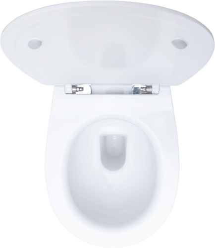 Чаша унитаза подвесная Allen Brau Fantasy 4.11004.20 цвет белый без сиденья безободковая каскадный смыв - фото 5