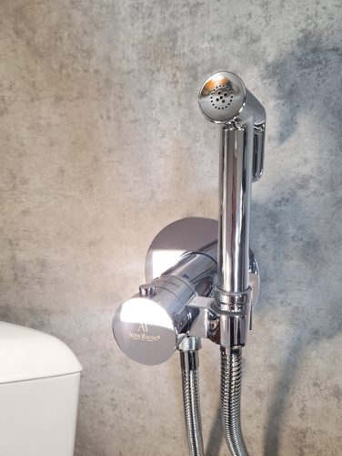 Гигиенический душ со смесителем AltroBagno BM AltroBagnoOggetto060401Cr хром - фото 3