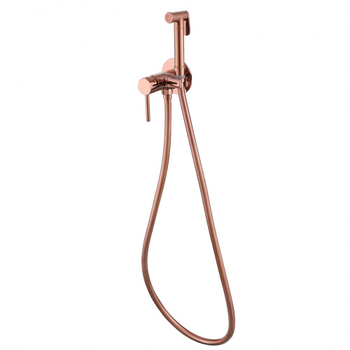 Гигиенический душ со смесителем ABBER Wasser Kreis AF8125RG розовое золото - фото 2