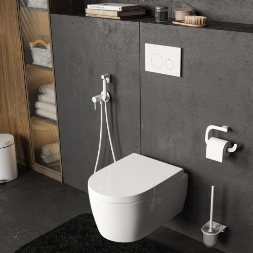 Инсталляция для унитаза WasserKRAFT Dinkel 58TLT.010.ME.WM02 - фото 5