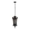 Уличный подвесной светильник Loft It Tremezzo 100019P BS