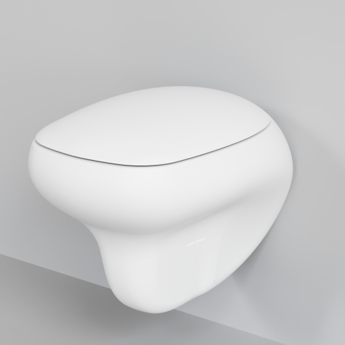 Унитаз подвесной Ambassador Diamond 123T20101R-122T20101 белый матовый с сиденьем микролифт - фото 2