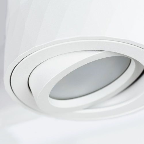 Светильник накладной Arte Lamp Fang (Фанг) A5559PL-1WH - фото 3