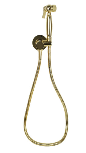 Гигиенический душ со смесителем Emmevi 179/OR цвет золото - фото 2