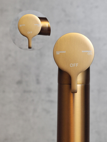 Лейка для гигиенического душа AltroBagno Modern AltroBagnoModern060207BC круглая - фото 3