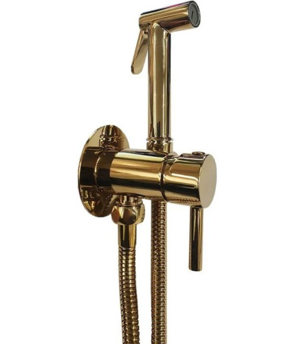 Гигиенический душ со смесителемPaffoni Tweet Round ZDUP110HG встраиваемый в стену золото - фото 2