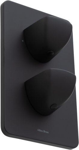 Смеситель для ванны с душем Allen Brau Infinity 5.21216-31 встраиваемый в стену черный с термостатом - фото 2