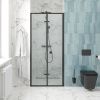 Душевая дверь Cerutti SPA BELLA D81B 80х195 стекло прозрачное профиль черный