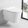 Унитаз подвесной Cerutti SPA CT10590 белый с сиденьем микролифт безободковый импульсный смыв