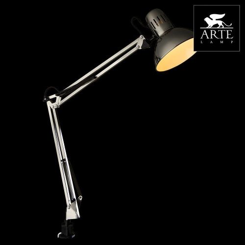 Настольная лампа Arte Lamp Senior (Сениор) A6068LT-1SS - фото 3