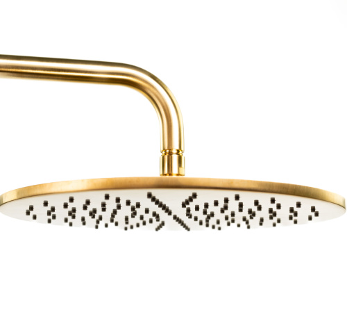 Душевая антикальцевая головка Emmevi C06657mm300/ORS цвет брашированное золото - фото 5