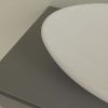 Раковина из сантехнического фарфора Villeroy Boch Loop&Friends 4A470001 60х40 накладная цвет белый без отверстий под смеситель