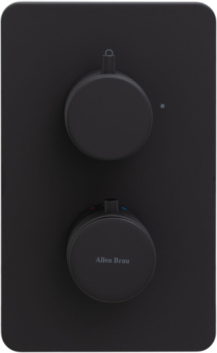 Смеситель для ванны с душем Allen Brau Priority 5.31113-31 встраиваемый в стену черный с термостатом - фото 3
