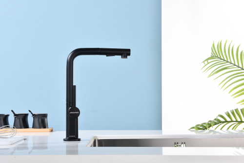 Смеситель для кухни Paulmark NEO Ne214419-AN на раковину антрацит - фото 2