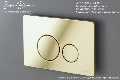 Клавиша смыва механическая Iberica Blanca INOX-O IB.B081.006.002 цвет желтый - фото 3