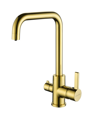 Смеситель для кухни Paulmark LOGAS Lo213021-G на раковину золото