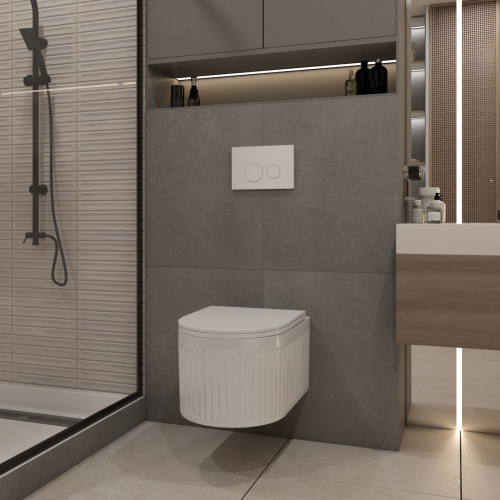 Клавиша смыва механическая Teymi Lina T70019WM цвет белый - фото 2