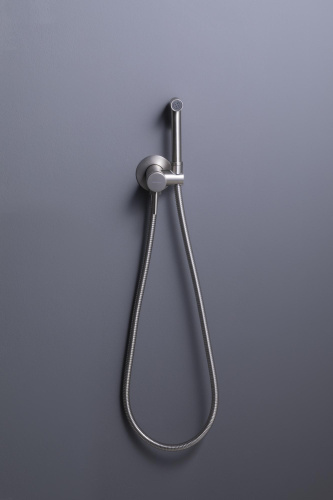Гигиенический душ со смесителем Allen Brau Priority 5.31A29-BN встраиваемый в стену никель - фото 3