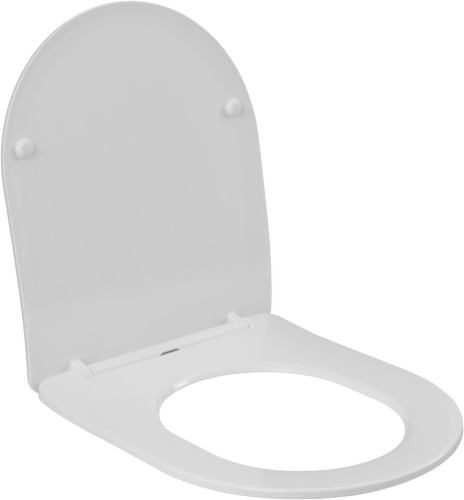 Чаша унитаза напольная Aquanet Cetus Cetus 2.0 C1 цвет белый без бачка с сиденьем микролифт безободковая каскадный смыв - фото 3